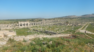 Volubilis dans l'histoire