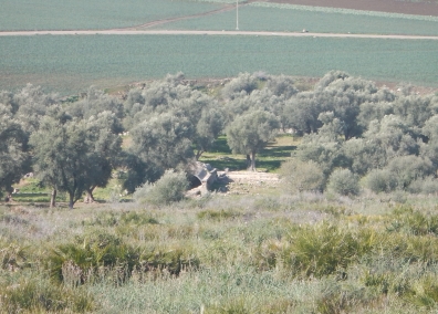 Les recherches les plus récentes ou en cours à Volubilis