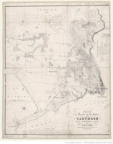 Histoire de la recherche à Carthage